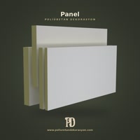 Panel