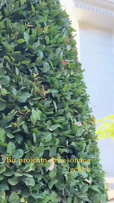 3D Mimari Çizimle Poliüretan Villa Dış Cephe Tasarımı
