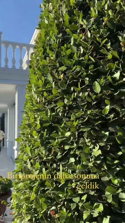 Yoğun bahçe çiti, tamamlanmış balkon korkulukları ile cepheyi kısmen örtüyor.