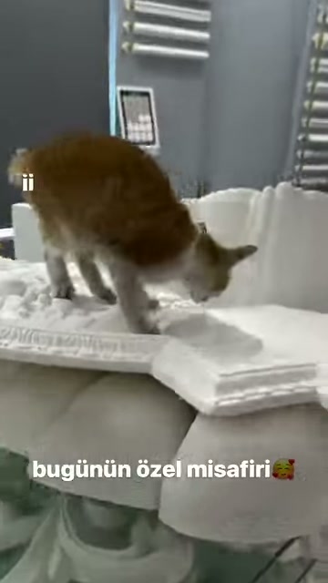 Çıta numunelerinin önündeki kedi motifli parçayı yakından inceliyor