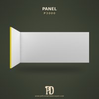 P3000 Panel