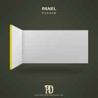 P3000B Panel