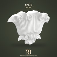 P509 Aplik
