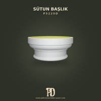 P5220D Sütun Başlık
