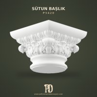 P5420 Sütun Başlık