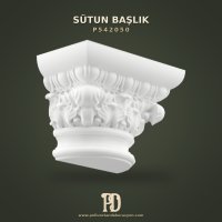 P542050 Sütun Başlık