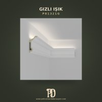 P81321G Gizli Işık