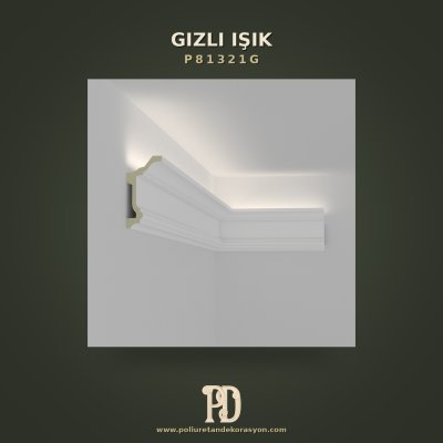 P81321G Gizli Işık