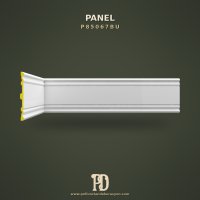 P85067BU Panel