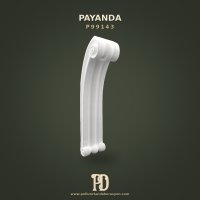 P99143 Payanda