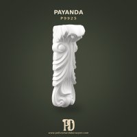 P9925 Payanda