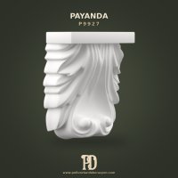 P9927 Payanda