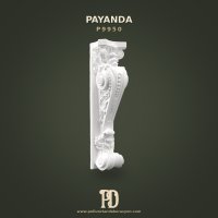 P9950 Payanda