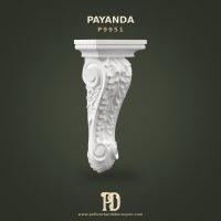 P9951 Payanda