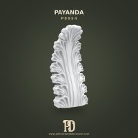 P9954 Payanda