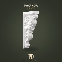 P9955 Payanda