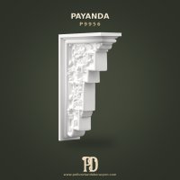 P9956 Payanda
